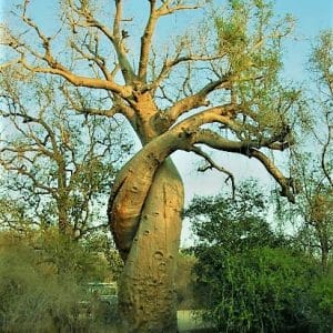 Enchaînement de rock: L&rsquo;enroulé – Semaine du 02 au 07 septembre 2019