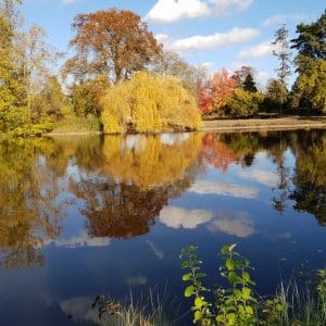 Description d&rsquo;enchaînement de rock: Le miroir – Semaine du 09 au 14 septembre 2019