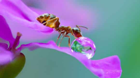 Description de l’enchainement du cours de rock 4 temps et 6 temps de la quinzaine du 14 au 27 septembre 2020: La goutte Description de l’enchainement du cours de rock 4 temps et 6 temps de la quinzaine du 14 au 27 septembre 2020: La goutte
