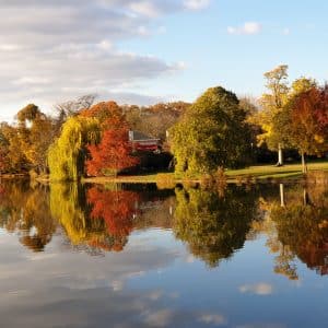 Description de l’enchaînement du cours de rock 4 temps et 6 temps de la semaine du 13 au 19 septembre 2021: Le miroir Description de l’enchaînement du cours de rock 4 temps et 6 temps de la semaine du 13 au 19 septembre 2021: Le miroir