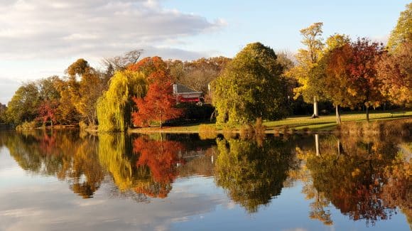 Description de l’enchainement du cours de rock 4 temps et 6 temps de la semaine du 13 au 19 septembre 2021: Le miroir Description de l’enchainement du cours de rock 4 temps et 6 temps de la semaine du 13 au 19 septembre 2021: Le miroir