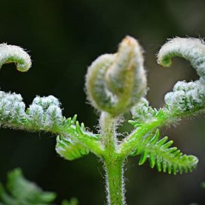 Description de l’enchaînement du cours de rock 4 temps et 6 temps de la semaine du 09 au 15 mai 2022: Le crochet Description de l’enchaînement du cours de rock 4 temps et 6 temps de la semaine du 09 au 15 mai 2022: Le crochet
