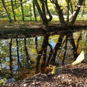Cours de danse rock – Description de l&rsquo;enchaînement de la semaine du 25 septembre au 01 octobre 2023: Le miroir inversé