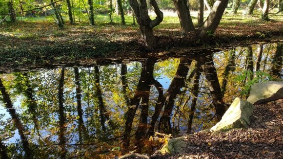 Cours de danse rock – Description de l&rsquo;enchaînement de la semaine du 25 septembre au 01 octobre 2023: Le miroir inversé