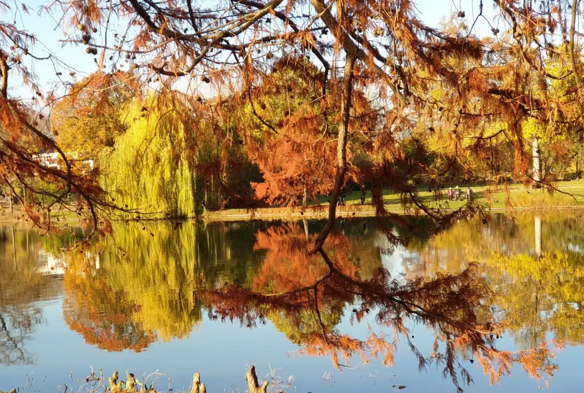 Cours de rock Paris – Description de l’enchaînement de la semaine du 16 au 22 septembre 2024: Les trois miroirs