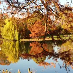 Cours de rock Paris – Description de l’enchaînement de la semaine du 16 au 22 septembre 2024: Les trois miroirs