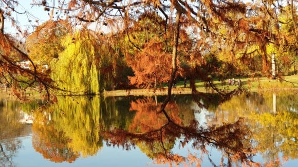 Cours de rock Paris – Description de l&rsquo;enchaînement de la semaine du 16 au 22 septembre 2024: Les trois miroirs