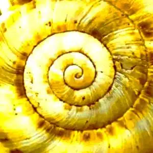Cours de danse Paris – Description de l’enchaînement de la semaine du 03 au 09 mars 2025: La spirale