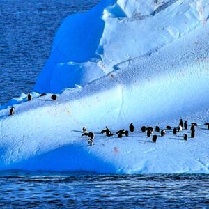 Cours de danse rock – Description de l’enchaînement de la semaine du 17 au 23 mars 2025: Le Titanic Cours de danse rock – Description de l’enchaînement de la semaine du 17 au 23 mars 2025: Le Titanic