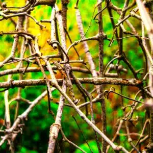 Cours de danse Paris – Description de l’enchaînement de la semaine du 06 au 12 octobre 2025: Le méli-mélo (en 3 versions)