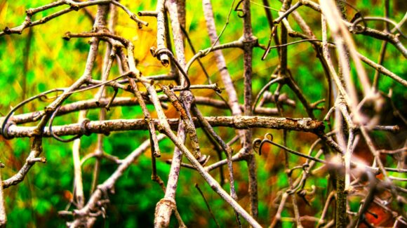 Cours de danse Paris – Description de l’enchaînement de la semaine du 06 au 12 octobre 2025: Le méli-mélo (en 3 versions)