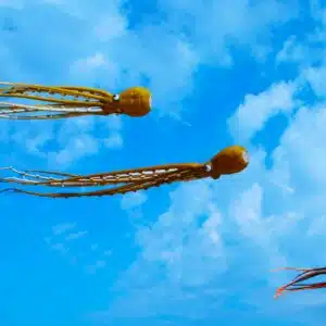 Cours de rock 4 temps – Cours de rock 6 temps – Description de l’enchaînement de la semaine du 13 au 19 octobre 2025: La fausse pieuvre (en 2 versions)