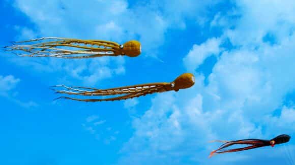 Cours de rock 4 temps – Cours de rock 6 temps – Description de l’enchaînement de la semaine du 13 au 19 octobre 2025: La fausse pieuvre (en 2 versions)