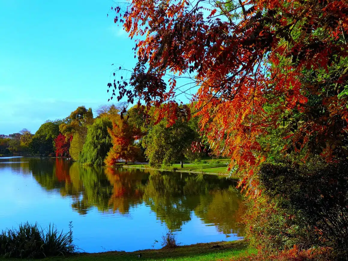 Cours de danse Paris