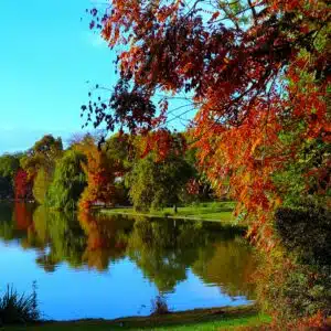 Cours de danse Paris Cours de danse Paris
