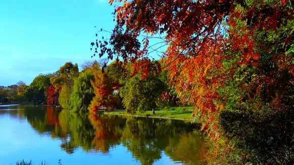 Cours de danse Paris