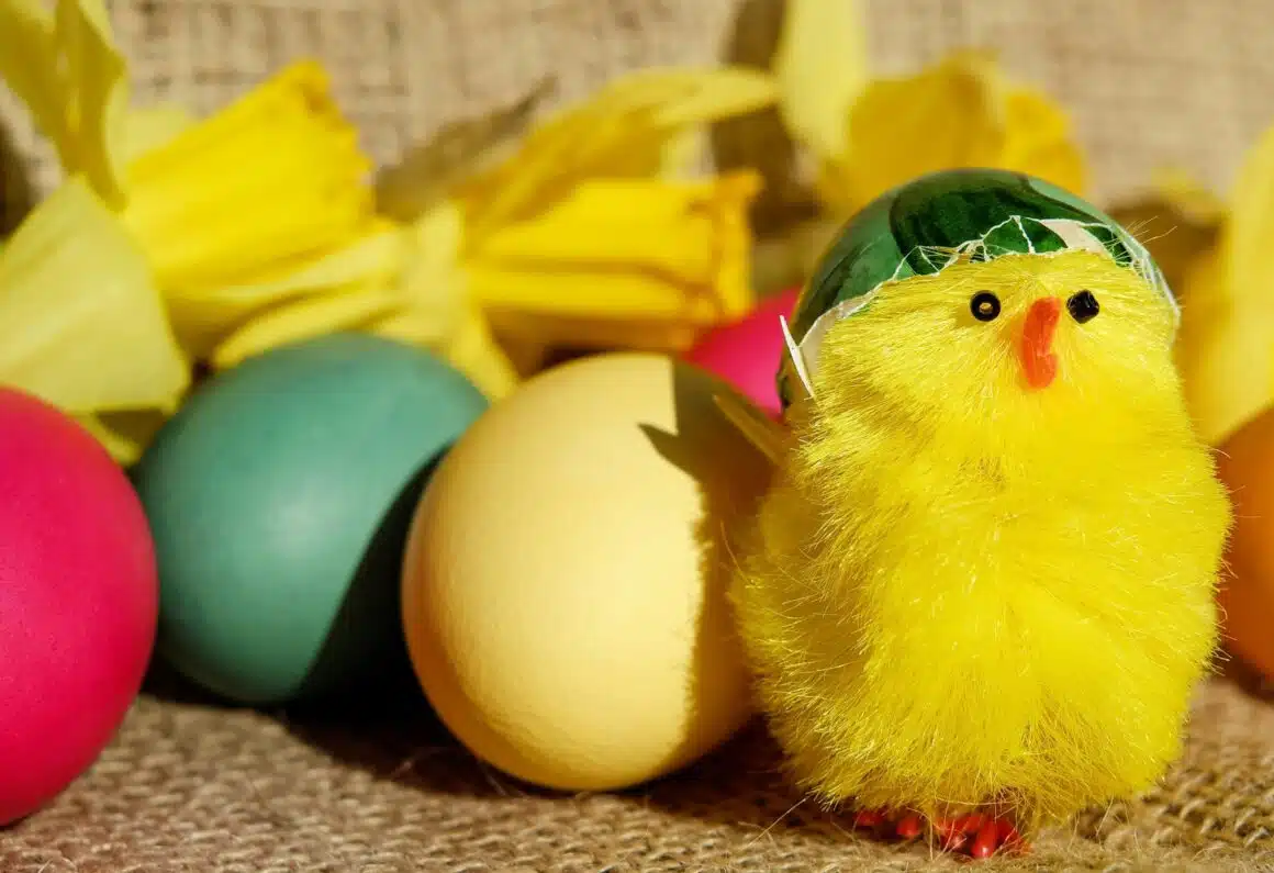 Cours de danse rock – Description de l’enchaînement de la semaine du 30 mars au 05 avril 2026 (sauf samedi en raison du WE de Pâques) Cours de danse rock – Description de l’enchaînement de la semaine du 30 mars au 05 avril 2026 (sauf samedi en raison du WE de Pâques)