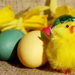 Cours de danse rock – Description de l’enchaînement de la semaine du 30 mars au 05 avril 2026 (sauf samedi en raison du WE de Pâques) Cours de danse rock – Description de l’enchaînement de la semaine du 30 mars au 05 avril 2026 (sauf samedi en raison du WE de Pâques)