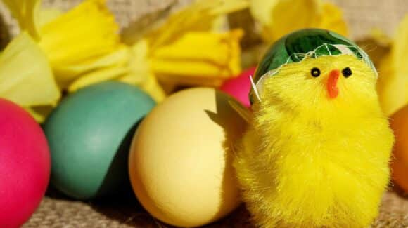 Cours de danse rock – Description de l’enchaînement de la semaine du 30 mars au 05 avril 2026 (sauf samedi en raison du WE de Pâques) Cours de danse rock – Description de l’enchaînement de la semaine du 30 mars au 05 avril 2026 (sauf samedi en raison du WE de Pâques)