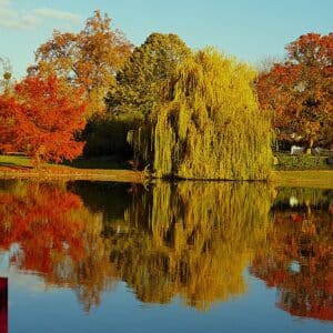 Cours de danse rock – Description de l’enchaînement de la semaine du 21 au 27 septembre 2026: Le miroir Cours de danse rock – Description de l’enchaînement de la semaine du 21 au 27 septembre 2026: Le miroir